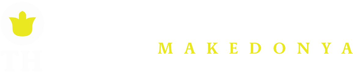 Türk Hareket Partisi